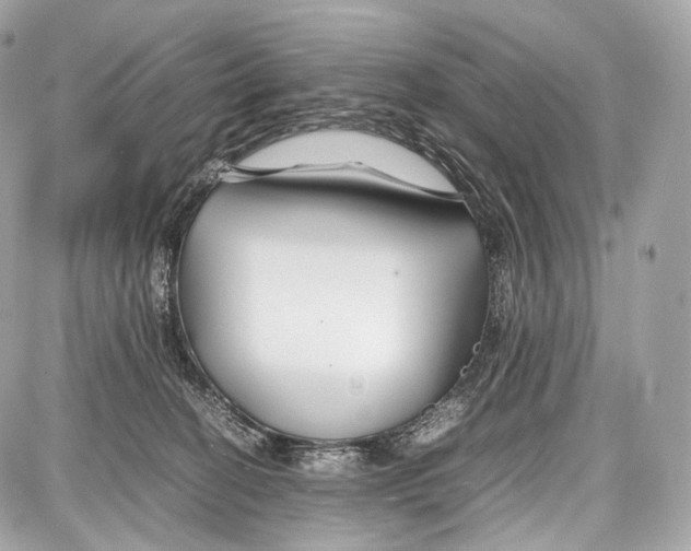 X0000086960274200705141633