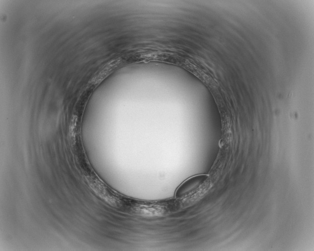 X0000086960275200705141633