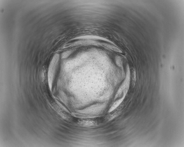 X0000086960276200705141633