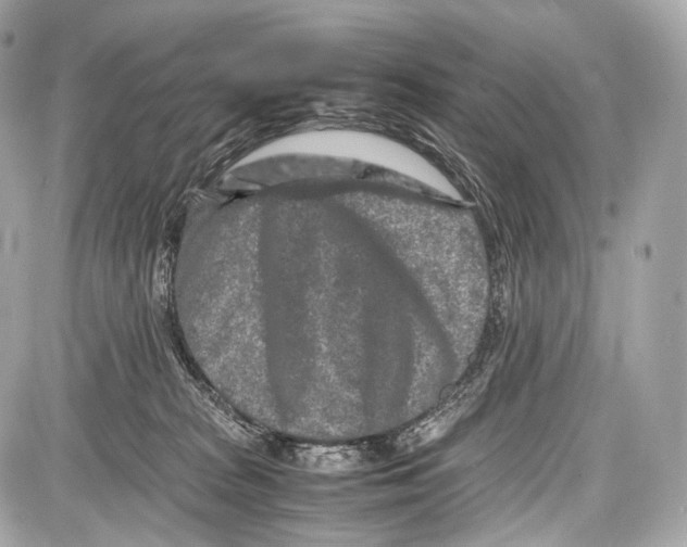 X0000086960277200705141633