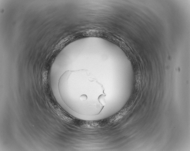 X0000086960278200705141633