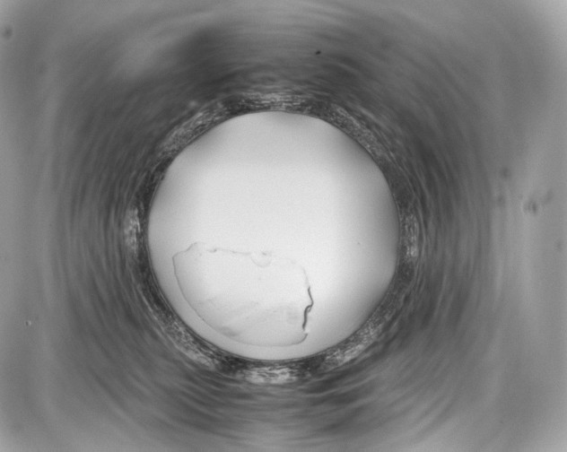 X0000086960279200705141633