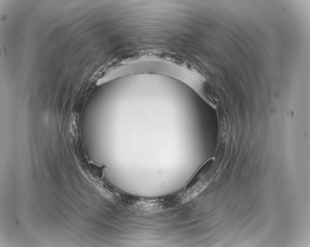 X0000086960280200705141633