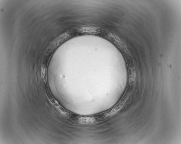 X0000086960281200705141633