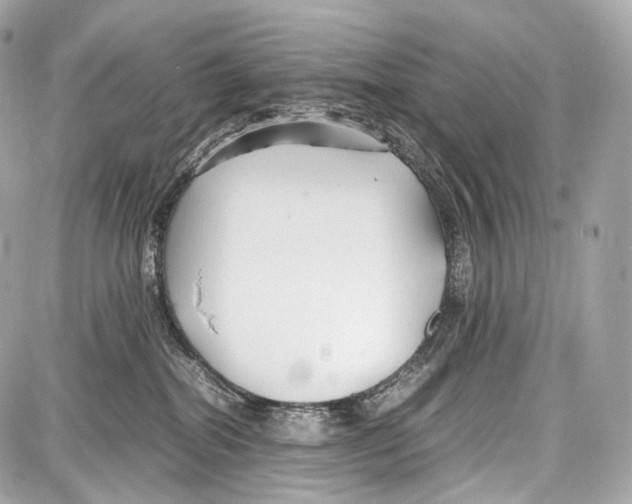 X0000086960282200705141633