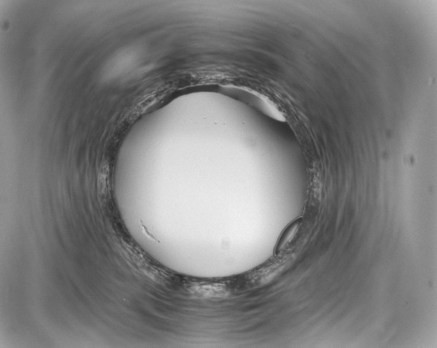 X0000086960283200705141633