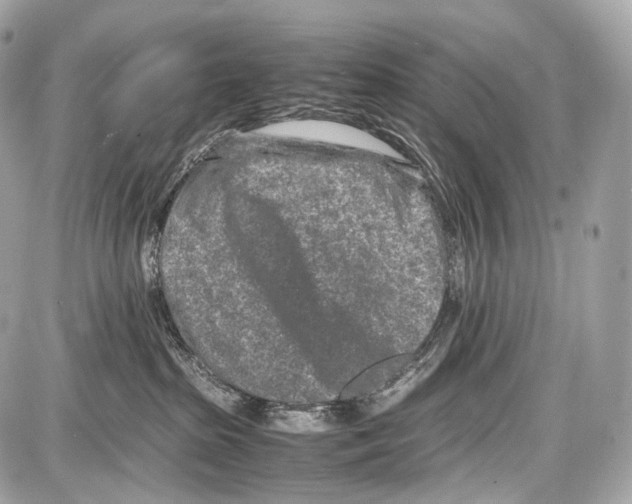 X0000086960285200705141633