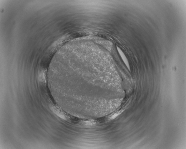 X0000086960286200705141633