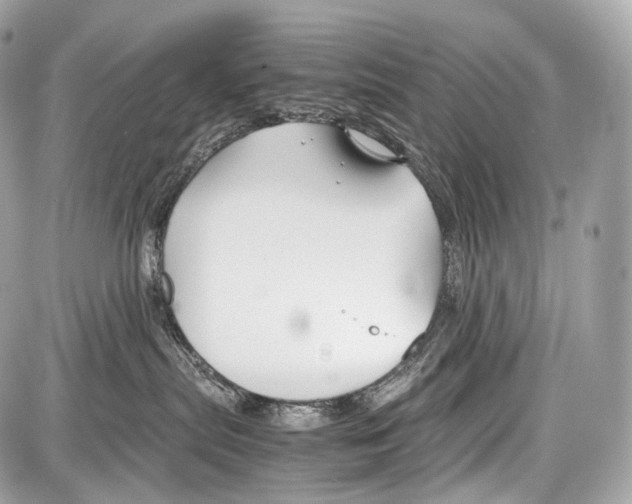 X0000086960287200705141633