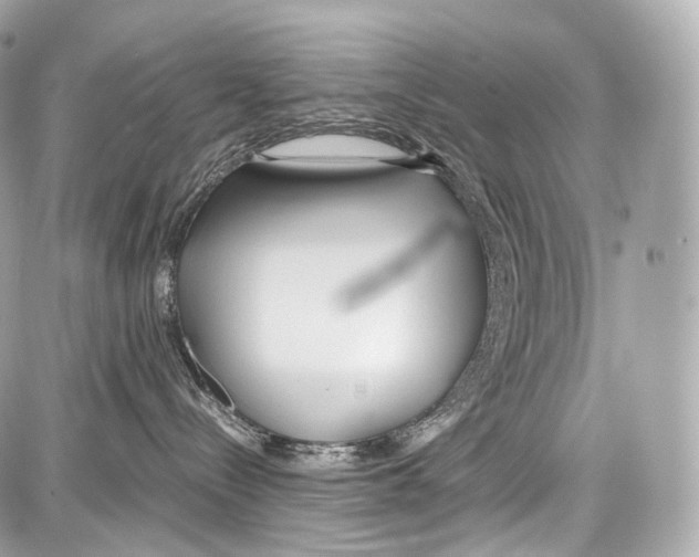 X0000086960288200705141633