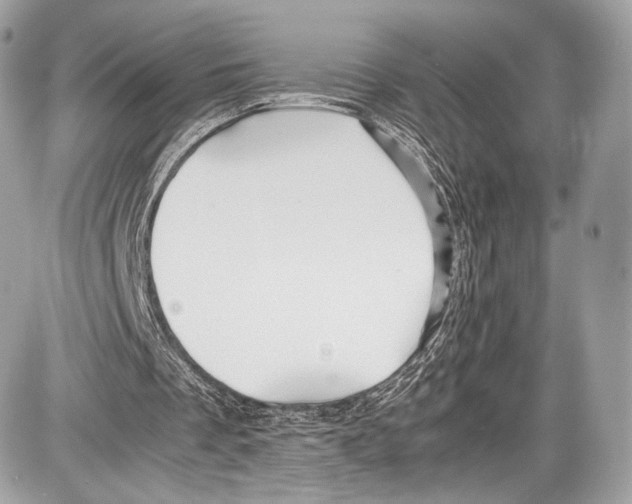 X0000086960289200705141633