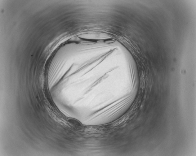 X0000086960290200705141633