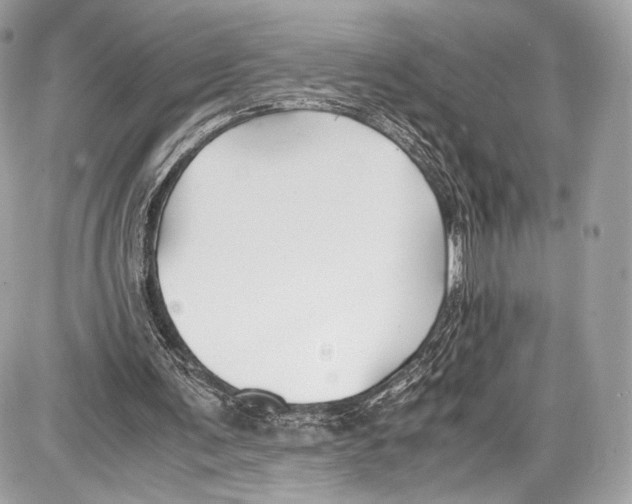 X0000086960291200705141633