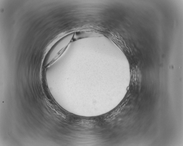 X0000086960292200705141633