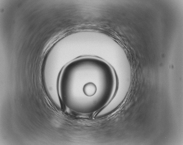 X0000086960293200705141633