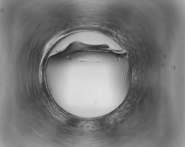 X0000086960294200705141633