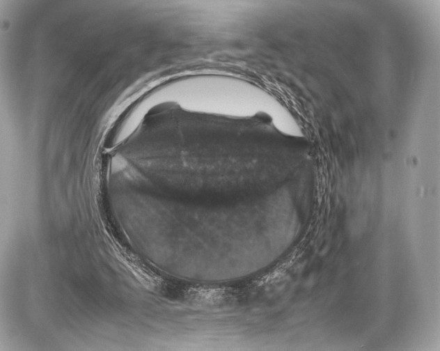 X0000086960295200705141633