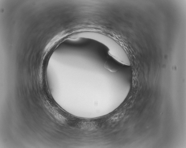 X0000086960296200705141633