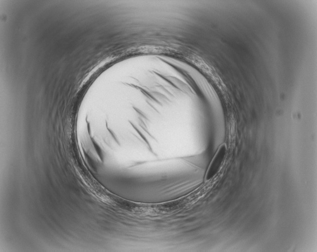 X0000086960297200705141633