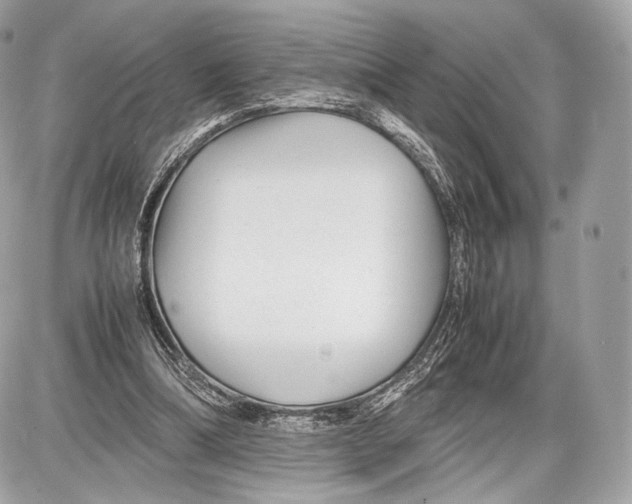 X0000086960298200705141633