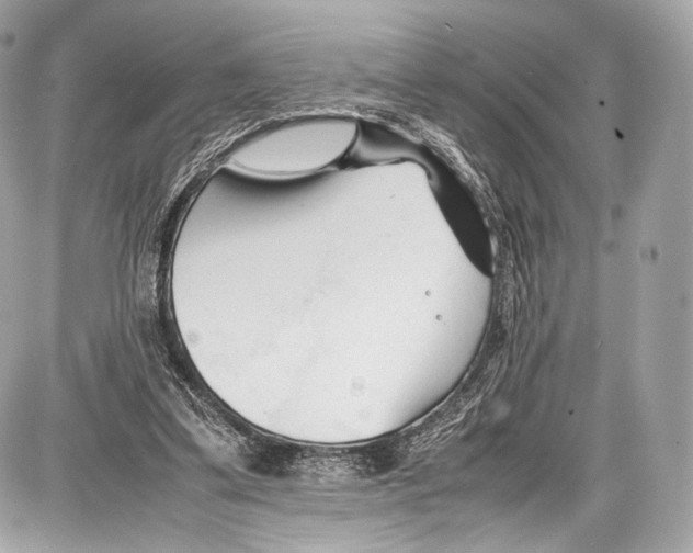 X0000086960299200705141632