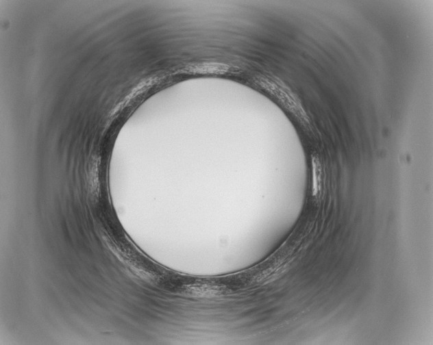 X0000086960300200705141632