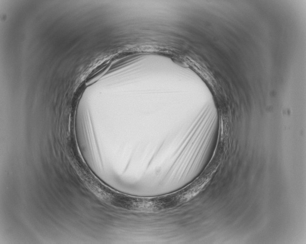 X0000086960301200705141632