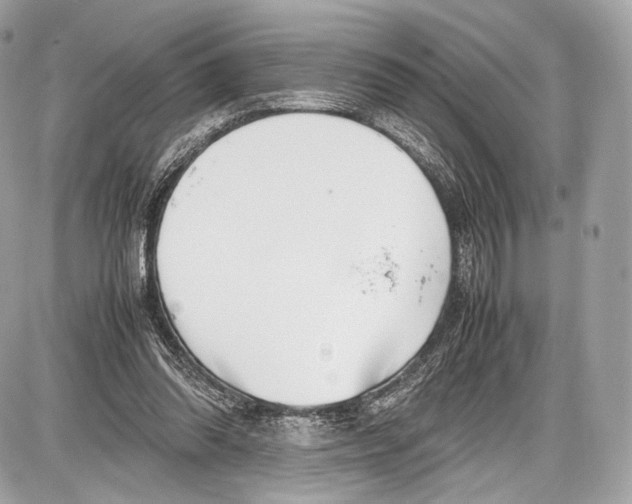 X0000086960302200705141632