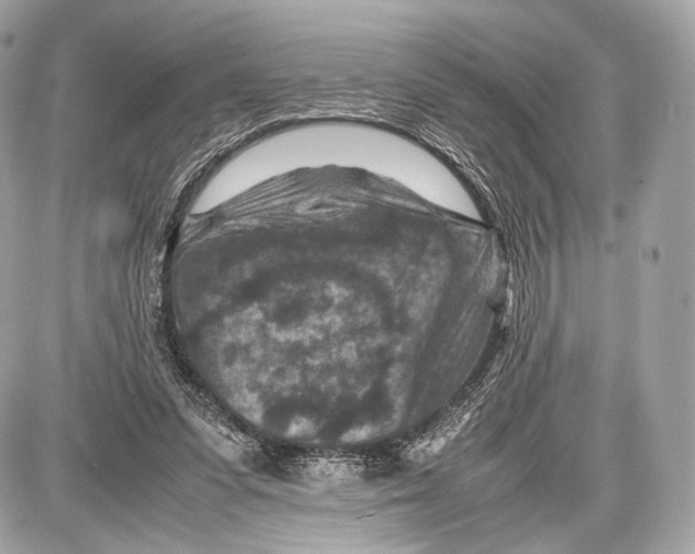 X0000086960303200705141632