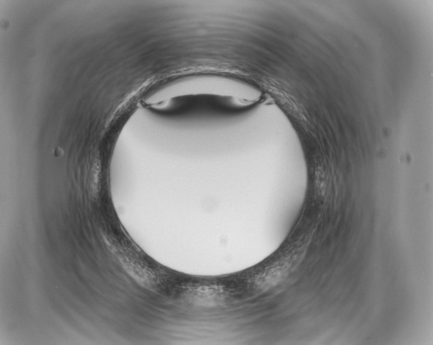 X0000086960304200705141632