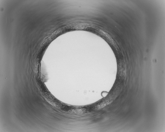 X0000086960307200705141632