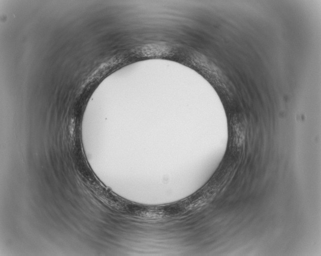 X0000086960308200705141632