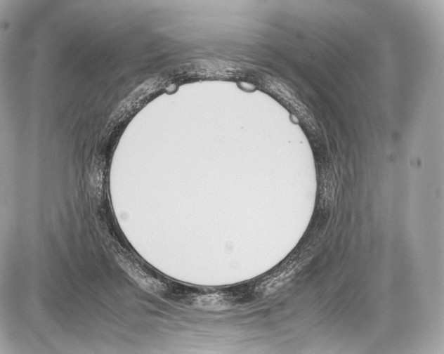 X0000086960309200705141632