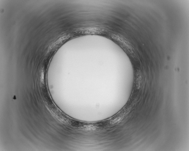 X0000086960310200705141632