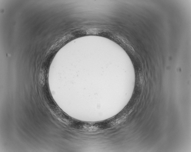 X0000086960311200705141632