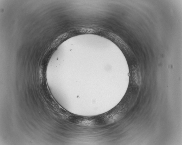 X0000086960312200705141632