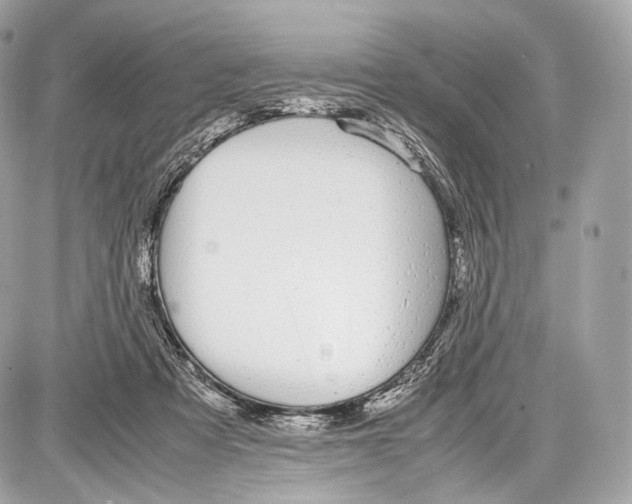 X0000086960313200705141632