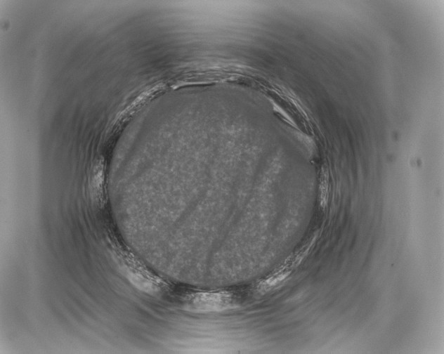 X0000086960314200705141632