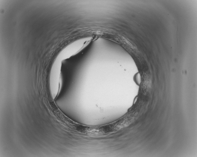 X0000086960315200705141632