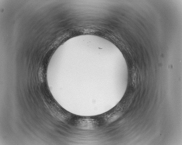 X0000086960316200705141632