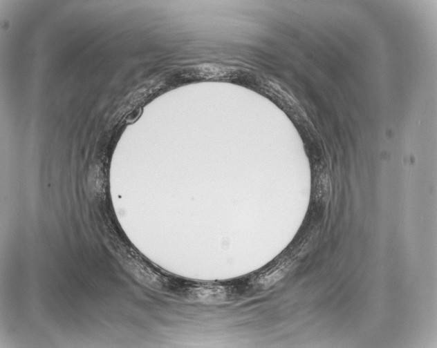 X0000086960317200705141632