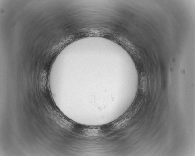 X0000086960318200705141632