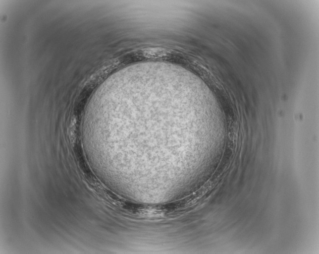 X0000086960319200705141632