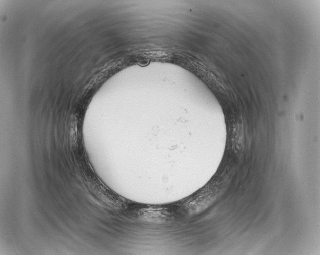 X0000086960320200705141632