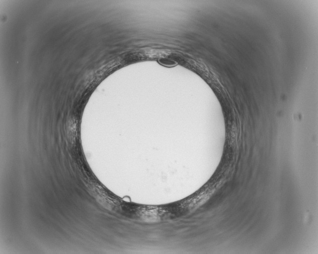 X0000086960321200705141632