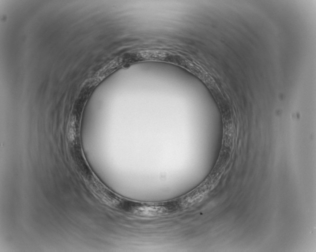 X0000086960323200705141632