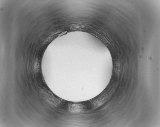 X0000086960324200705141632