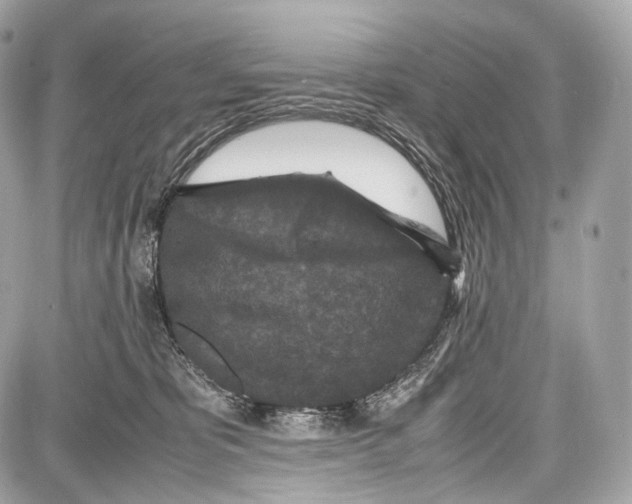 X0000086960325200705141632