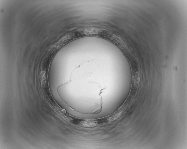 X0000086960327200705141632