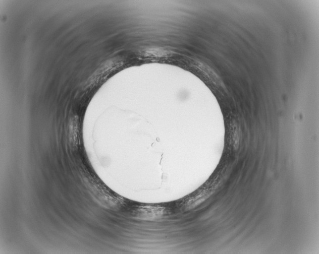 X0000086960328200705141632